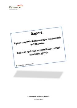 Katowice_Raport2013