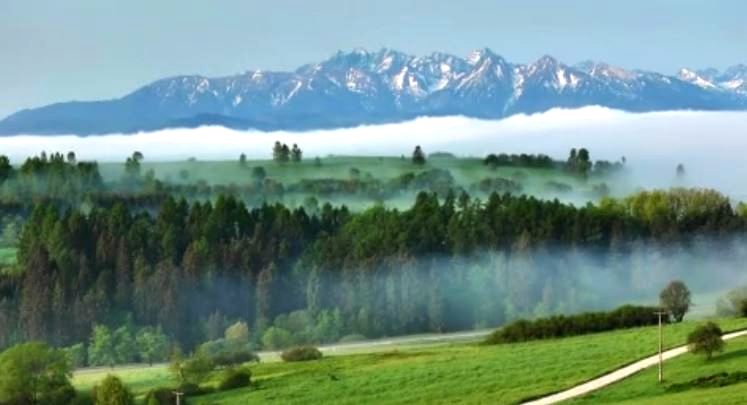 spot3 poprawiony.jpg