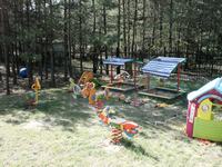 Poland_GardenChallenge_19