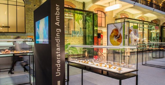 Wystawa poświęcona polskiemu bursztynowi w Belgii 