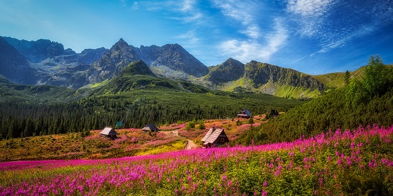 Hala Gąsienicowa w Tatrach