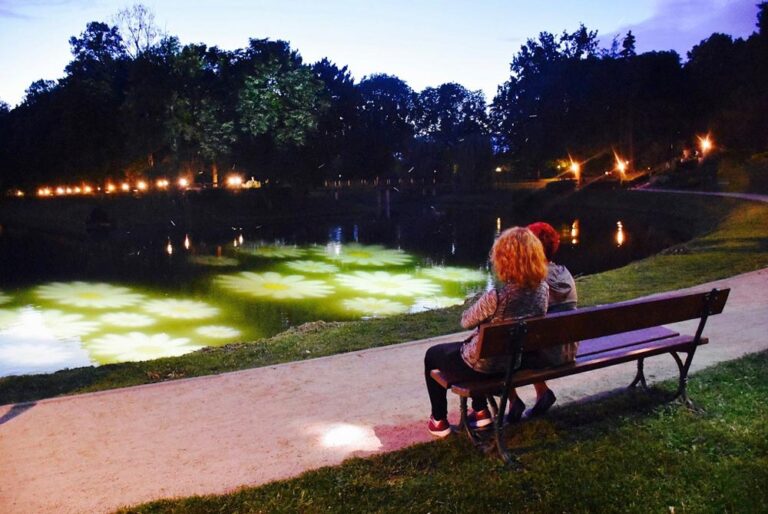 iluminacje_Zamosc.jpg