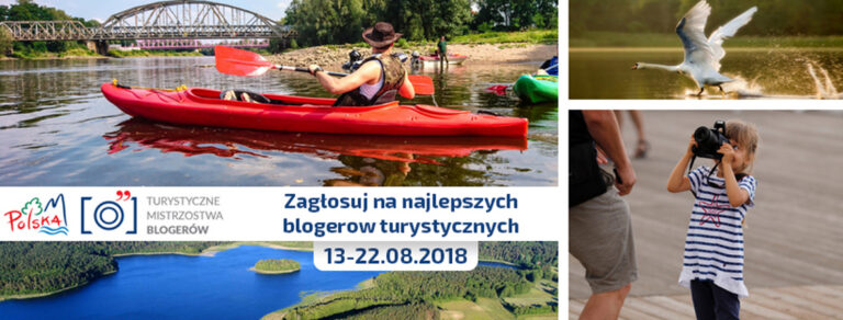 grafika - głosowanie 3 - grafika poprawiona.jpg