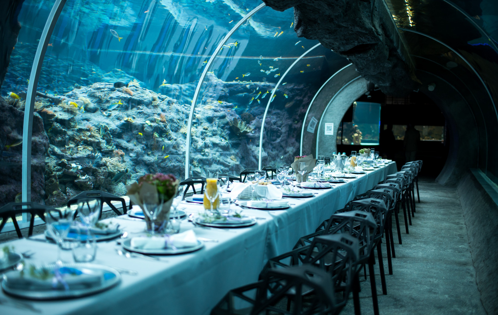 unique venue in Lodz dinner in Orientarium