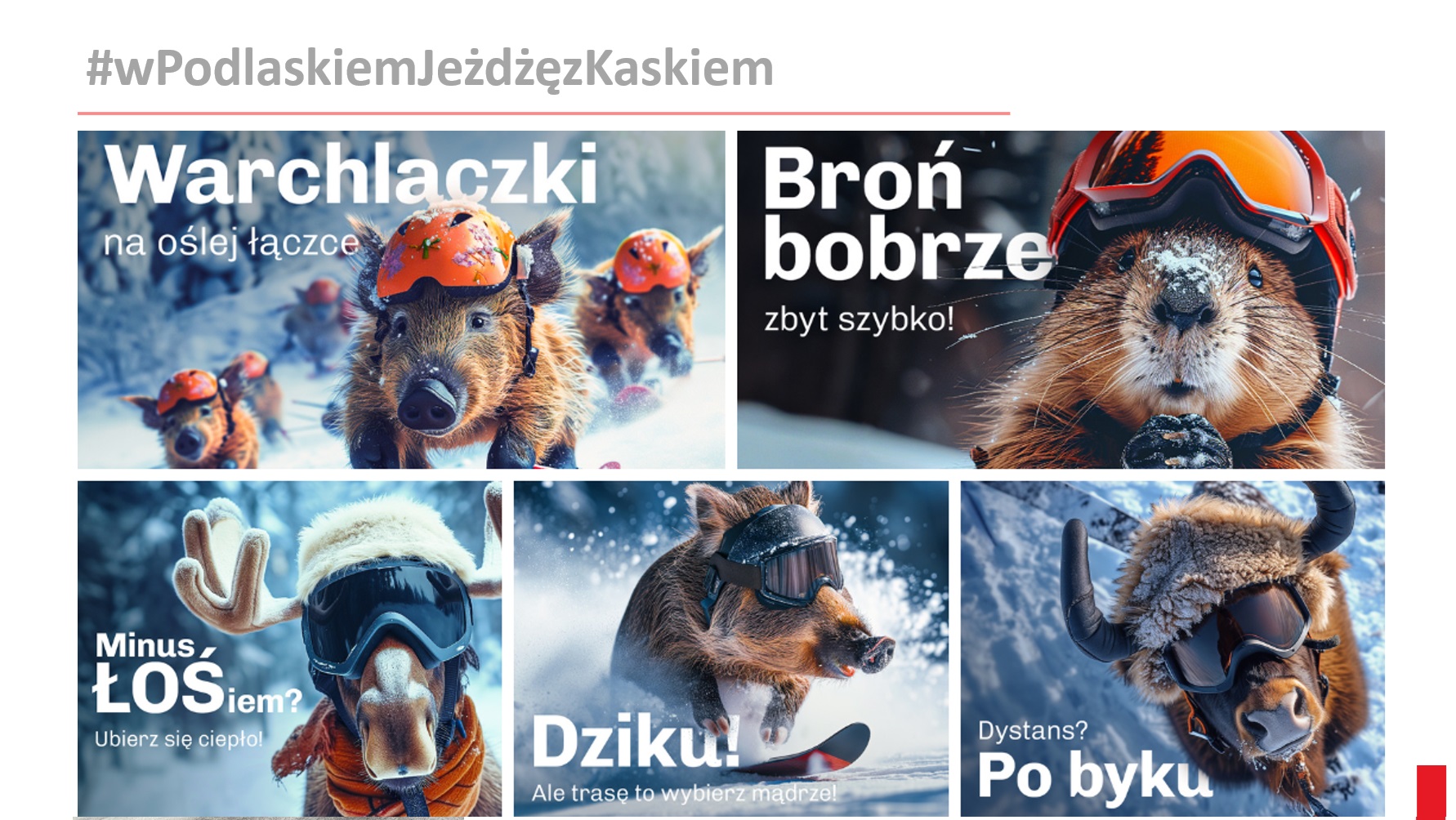 wpodlaskiemjezdzezkaskiem wpodlaskiemjezdzezkaskiem.jpg