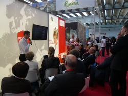 IMEX12_3