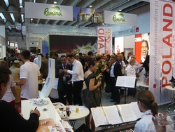 IMEX12_8