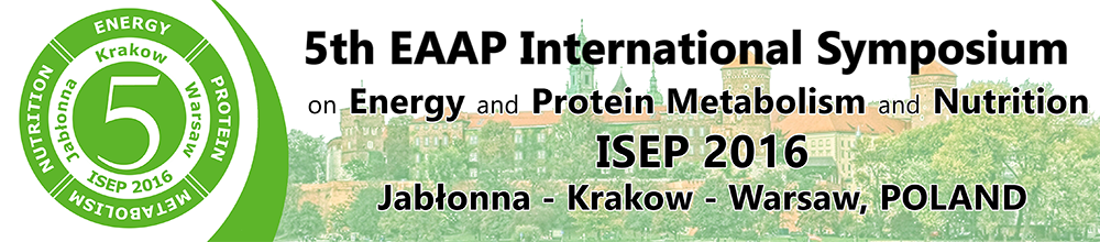 ISEP 3