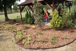 Ogrd2012_11
