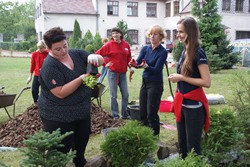 Ogrd2012_4