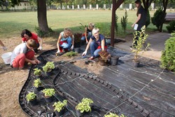 Ogrd2012_6