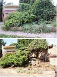 Ogrod2013_4