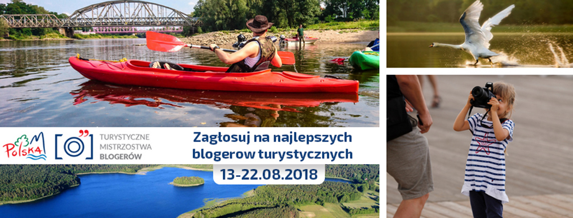 grafika - głosowanie 3 - grafika poprawiona.jpg